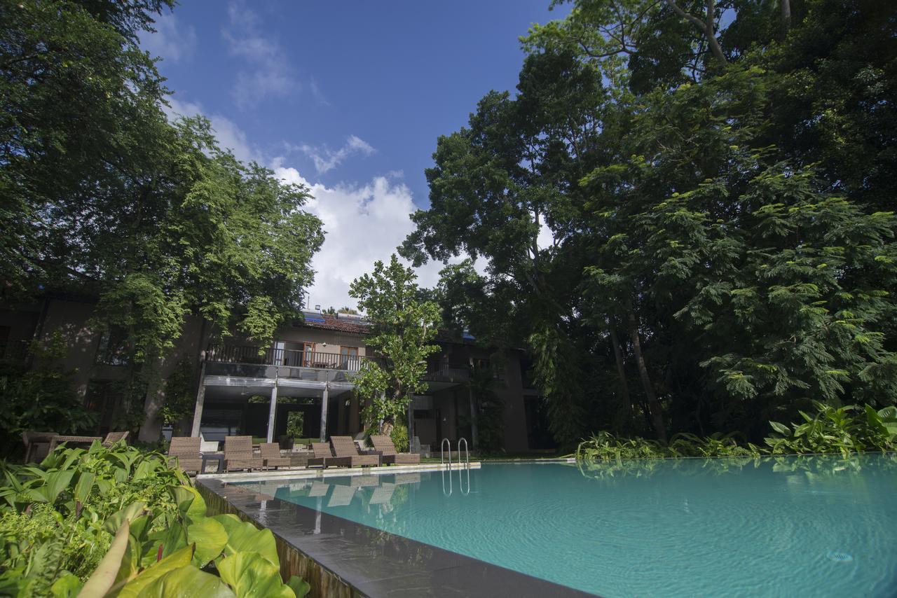 Roman Lake Ayurveda Boutique Resort - Level 1 Certified Ahungalla Exterior foto